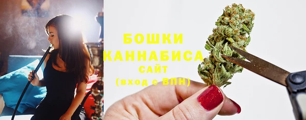ALPHA-PVP Вяземский