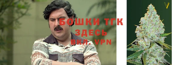 mdma Богданович